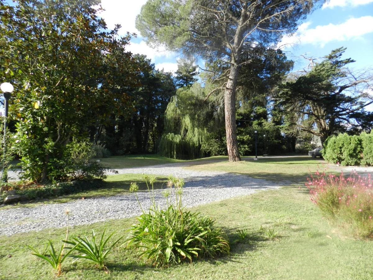 Acacias * Tandil
